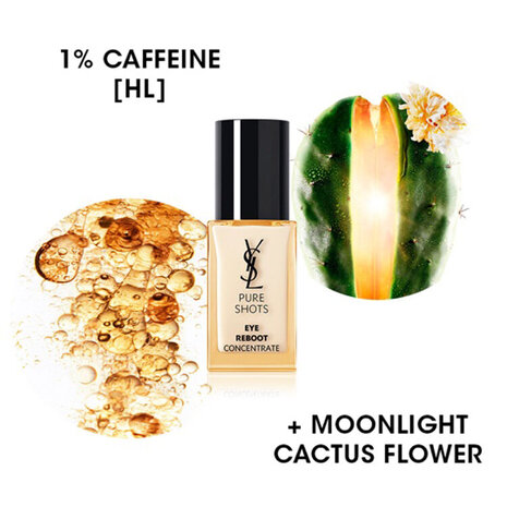เซรั่มดวงตา EYE REBOOT CONCENTRATE - YSL Beauty Thailand