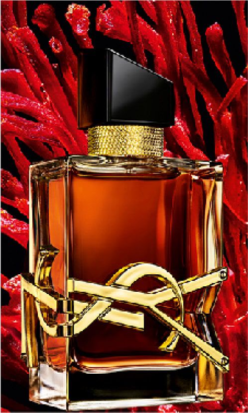 YSL Beauty Thailand - Official Online Store | Makeup YSL Beauty Thailand - Official Online Store | Makeup