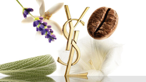 น้ำหอมผู้หญิง YSL