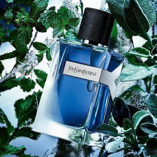 YSL Y Eau de Toilette Intense Iced Cologne bottle, with frosted glass, 
surrounded by vibrant mint leaves and icy water.