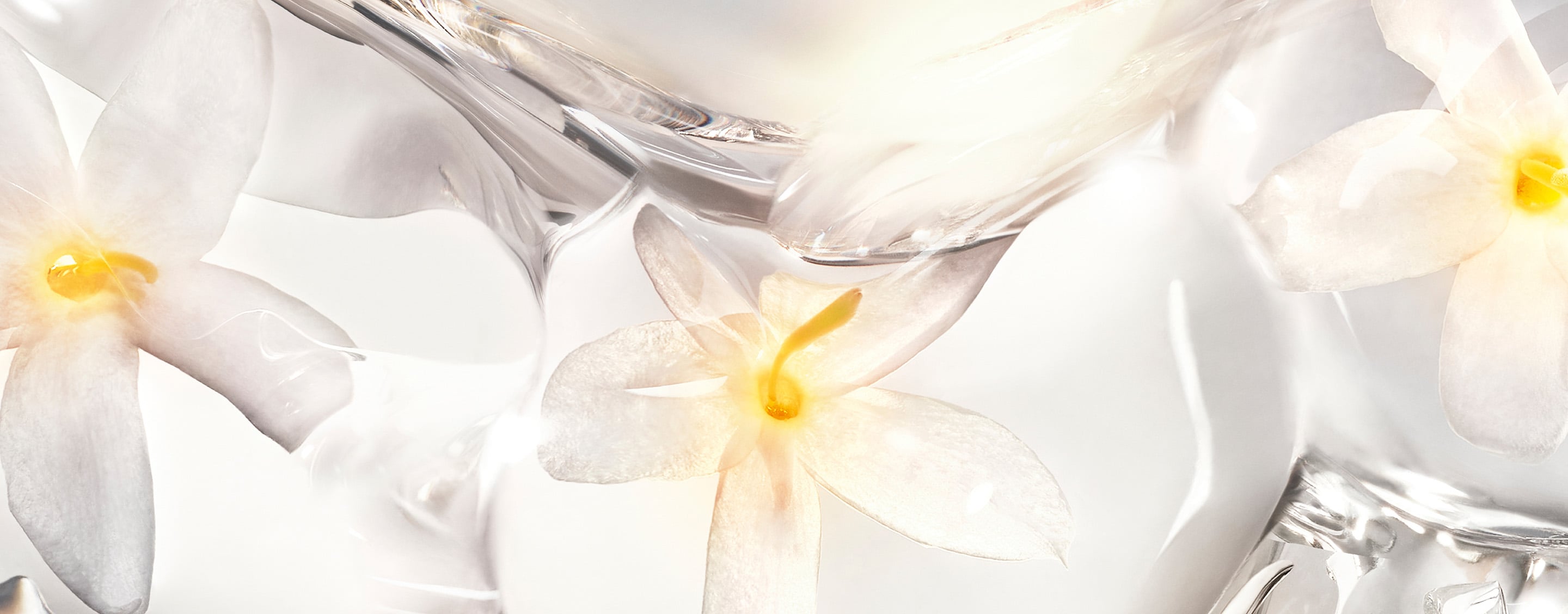 White jasmine ingredients of CARE CRUSH inside a luminous, clear texture. Elegant YSL Beauty skincare.