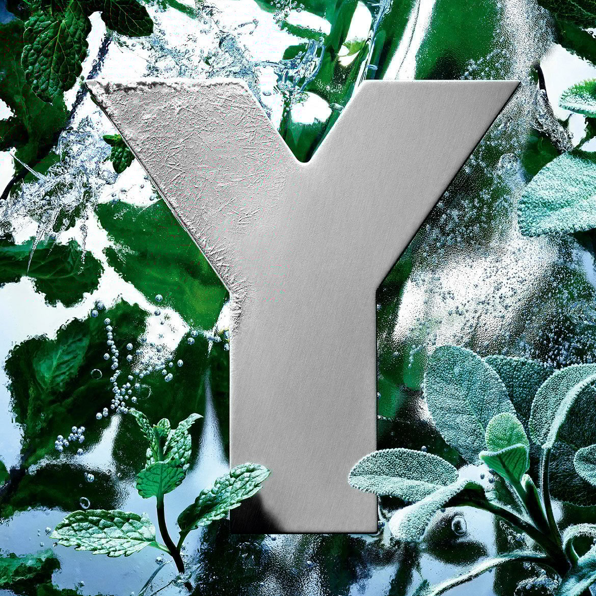 The YSL 'Y' logo, frosted with ice, surrounded by fresh mint and sage leaves.