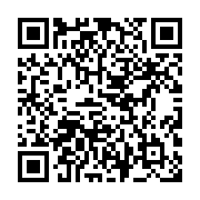 Chat Widget QR code
